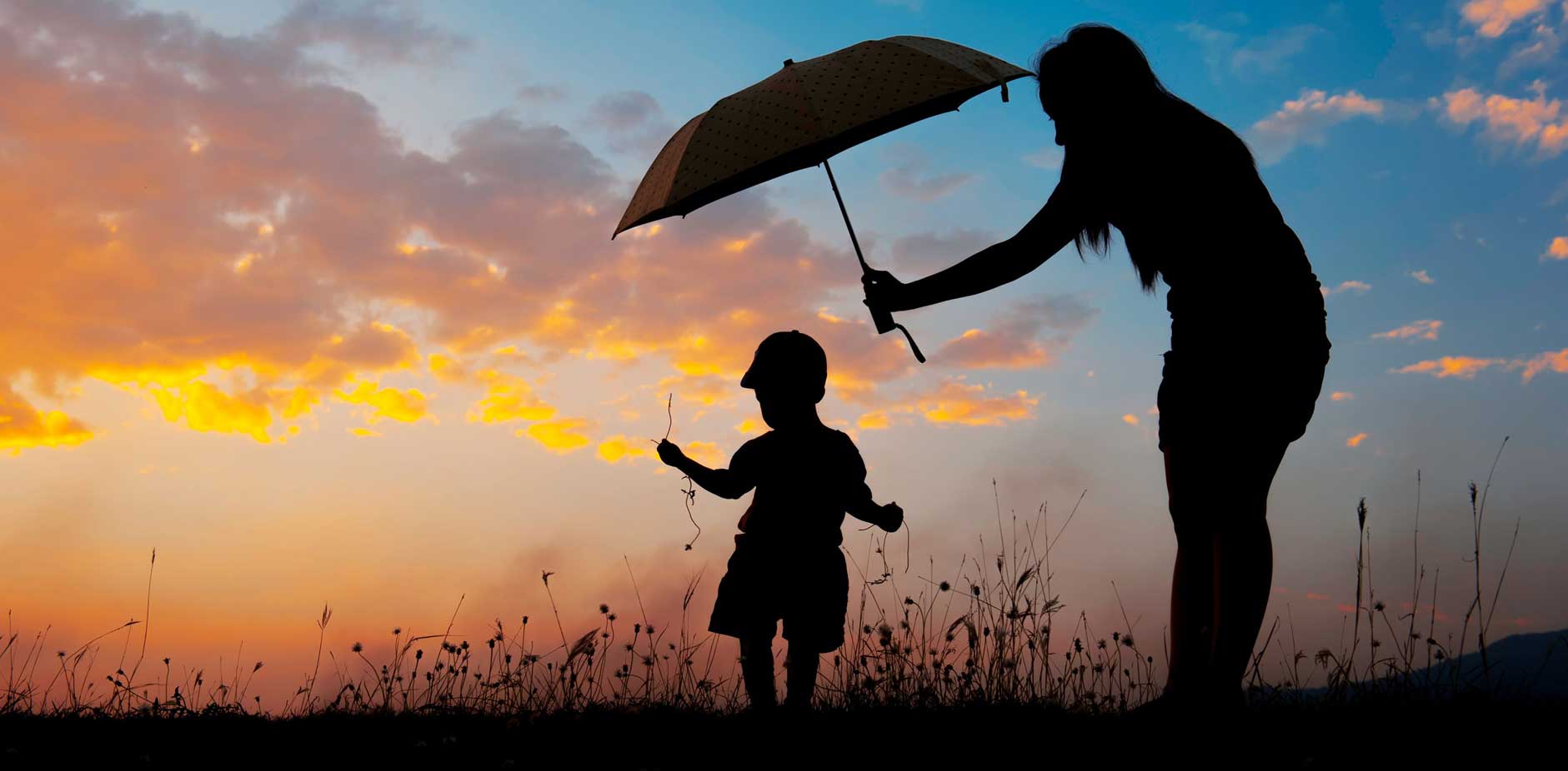 Income Protection, Critical Illness Cover and Life Insurance